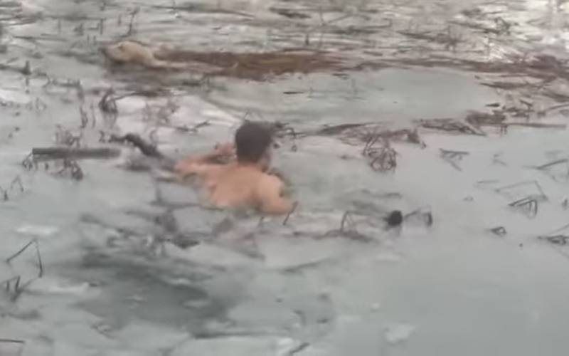 Dois policiais salvam a vida de um cachorro que estava prestes a se afogar em um lago congelado policiais-salvam-cachorro-em-lago-congelado