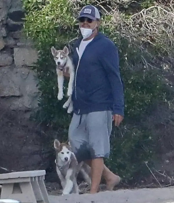 Leonardo DiCaprio pula em um lago congelado para salvar cães de afogamento leonardo-DiCaprio-salva-caes-de-afogamento