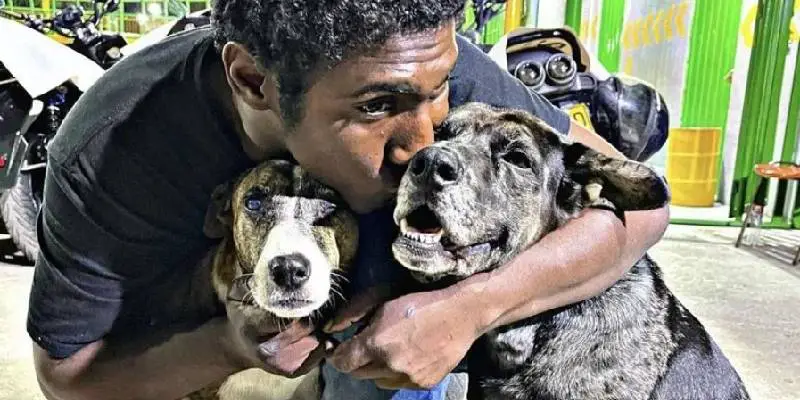 Morador de rua comemora aniversário e divide o bolo com seus cachorros morador-de-rua-faz-festa-de-aniversario-com-os-cachorros
