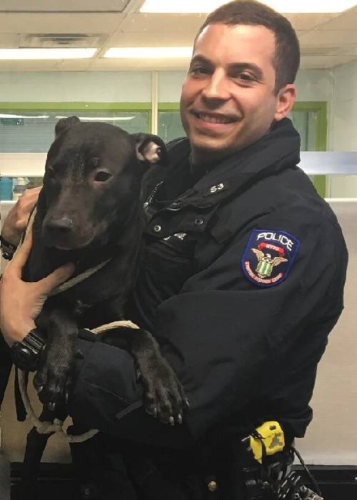 policial-salva-cachorro-da-chuva-e-os-dois-se-tornam-amigos
