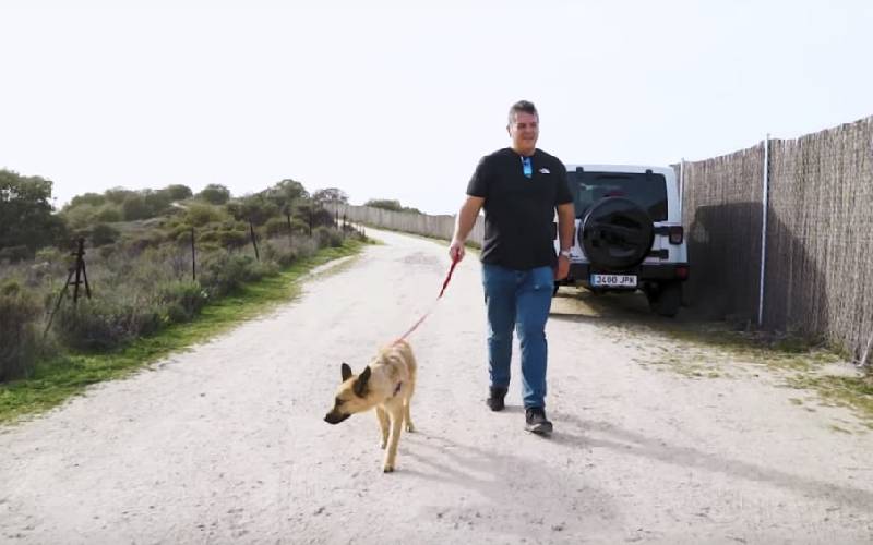 voluntarios-invadem-terreno-para-resgatar-caes-maltratados