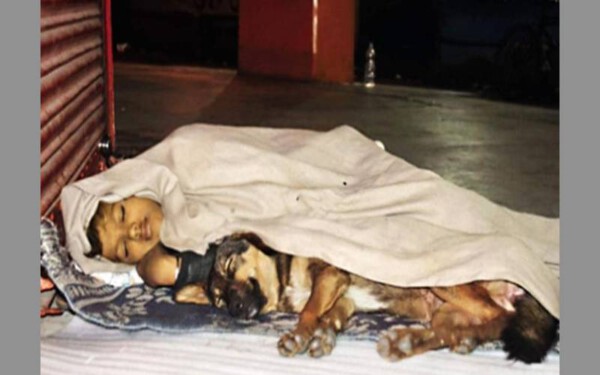 Criança abandonada sobrevive nas ruas com seu cachorro crianca-abandonada-sobrevive-nas-ruas-com-seu-cachorro