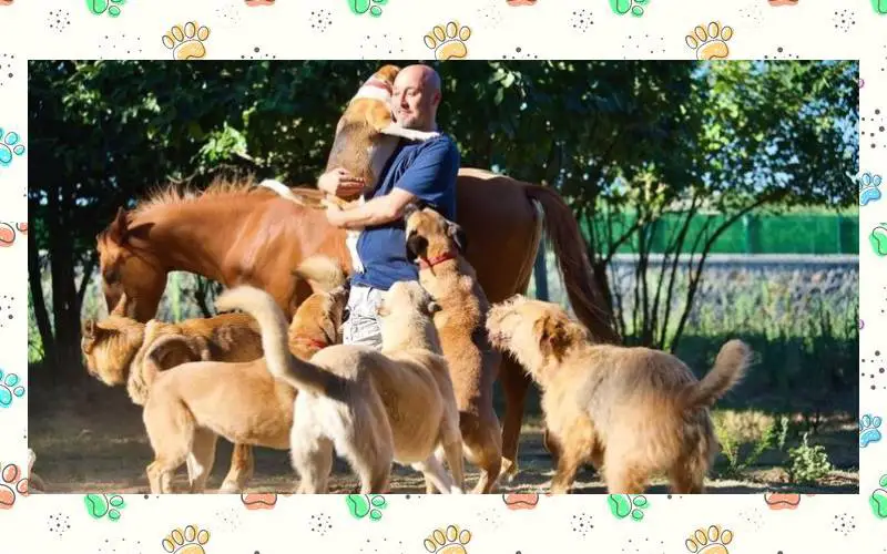 Amante dos animais transforma fazenda em santuário para cães de rua Amante-dos-animais-transforma-fazenda-em-santuario-para-caes-de-rua