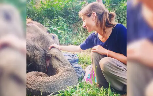 cachorra-se-recusa-a-sair-do-lado-de-um-elefante-agonizante