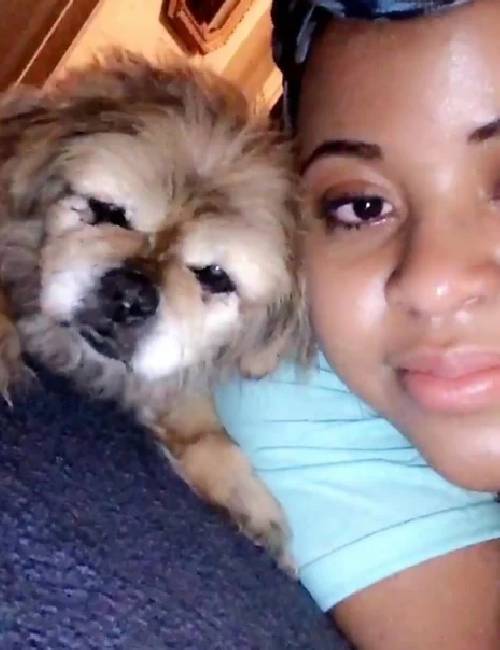 Na hora da partida, cachorro idoso enxuga as lágrimas da tutora cachorro-idoso-enxuga-as-lagrimas-da-tutora