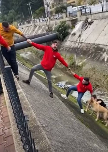 estranhos-formam-corrente-humana-para-salvar-cachorro