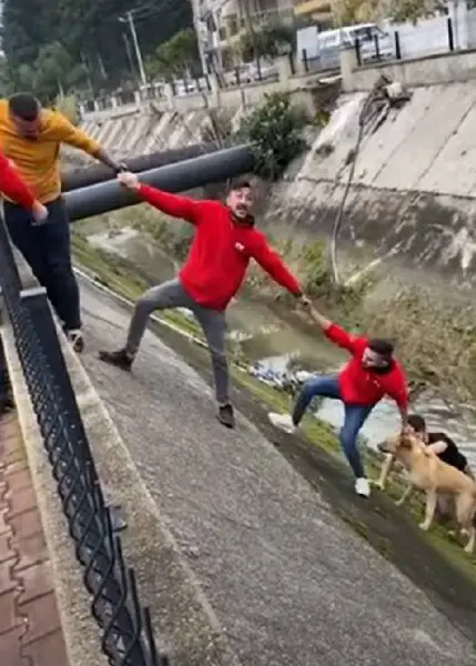 Estranhos formam corrente humana para salvar cachorro estranhos-formam-corrente-humana-para-salvar-cachorro