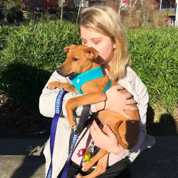 garota-interrompe-as-ferias-para-salvar-um-cachorrinho