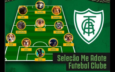 jogadores-entram-em-campo-com-cachorros-desabrigados