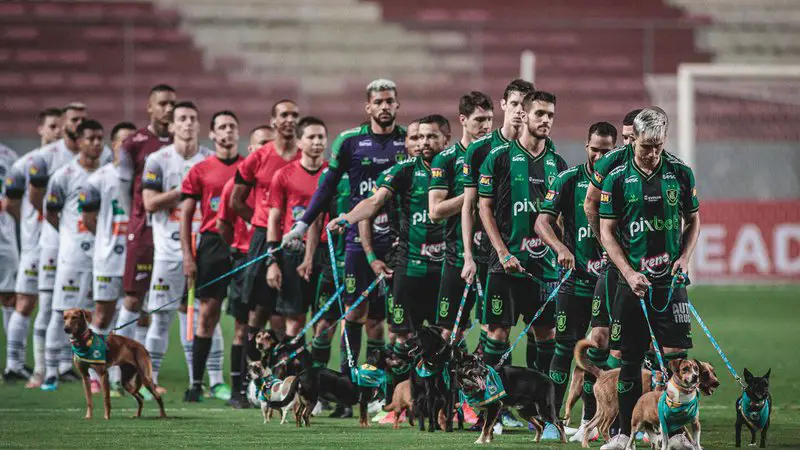 Jogadores de futebol entram em campo com cachorros desabrigados pelo rompimento da barragem de Brumadinho