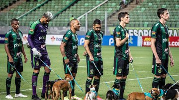 Jogadores de futebol entram em campo com cachorros desabrigados pelo rompimento da barragem de Brumadinho