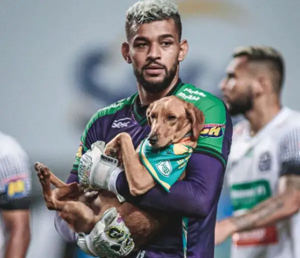 Jogadores de futebol entram em campo com cachorros desabrigados pelo rompimento da barragem de Brumadinho