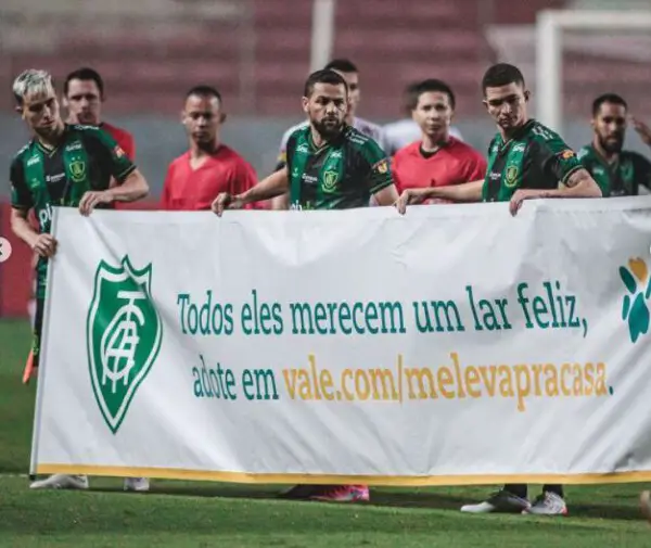 Jogadores de futebol entram em campo com cachorros desabrigados pelo rompimento da barragem de Brumadinho