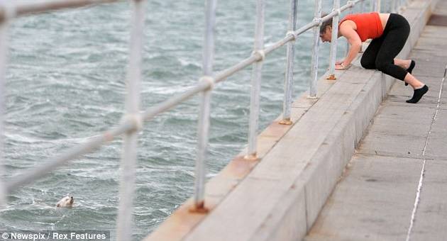 Jovem pula no mar para salvar cachorra jovem-pula-no-mar-para-salvar-cachorra