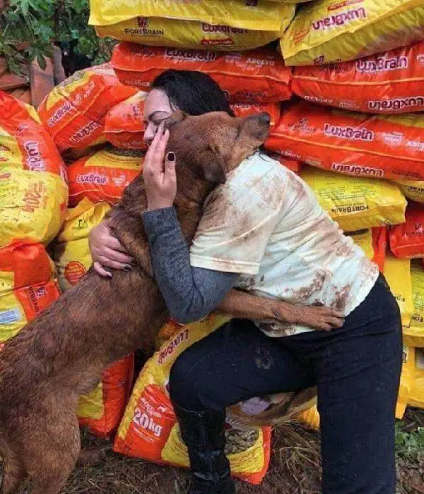 mulher-doa-racao-para-abrigo-e-ganha-abraco-de-um-dos-cachorros