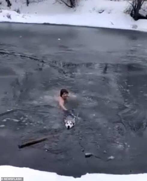 Mulher russa de 65 anos pula em rio congelado para salvar cachorro