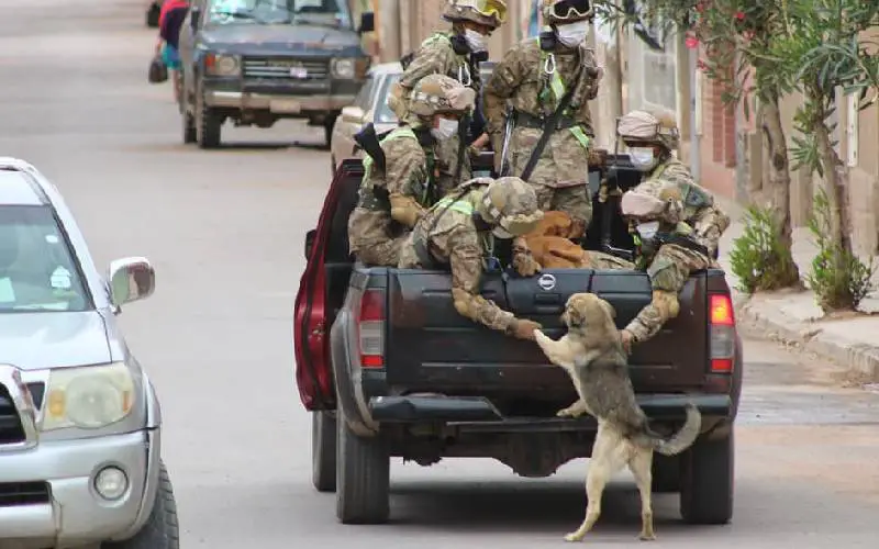 soldados-adotam-cachorros-encontrados-durante-a-ronda