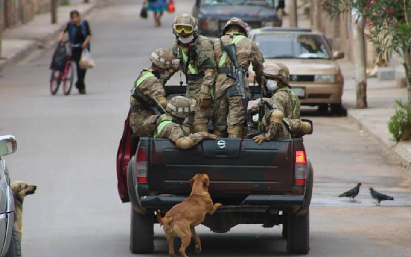 soldados-adotam-cachorros-encontrados-durante-a-ronda