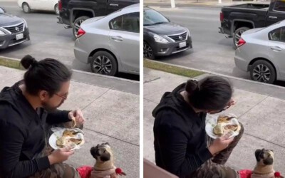 Cachorra-e-proibida-de-entrar-em-restaurante-e-tutor-resolve-comer-na-calcada