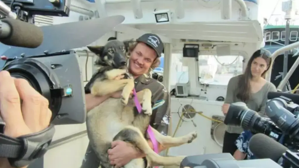 Cachorra é reencontrada um mês depois de cair no mar cachorra-e-reencontrada-um-mes-depois-de-cair-no-mar