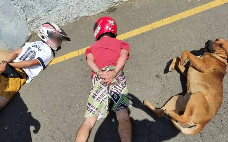 Mesmo inocente, cachorro caramelo "se rende" em abordagem policial cachorro-se-rende-em-abordagem-policial