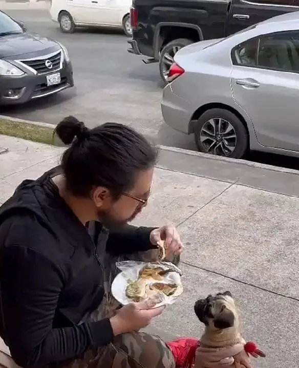 Cachorra-e-proibida-de-entrar-em-restaurante-e-tutor-resolve-comer-na-calcada