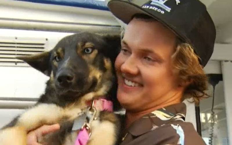 Cachorra é reencontrada um mês depois de cair no mar cachorra-e-reencontrada-um-mes-depois-de-cair-no-mar