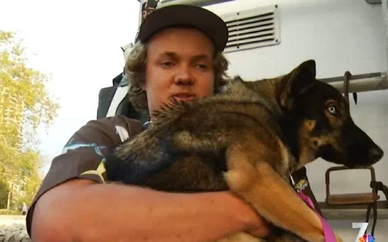 Cachorra é reencontrada um mês depois de cair no mar cachorra-e-reencontrada-um-mes-depois-de-cair-no-mar