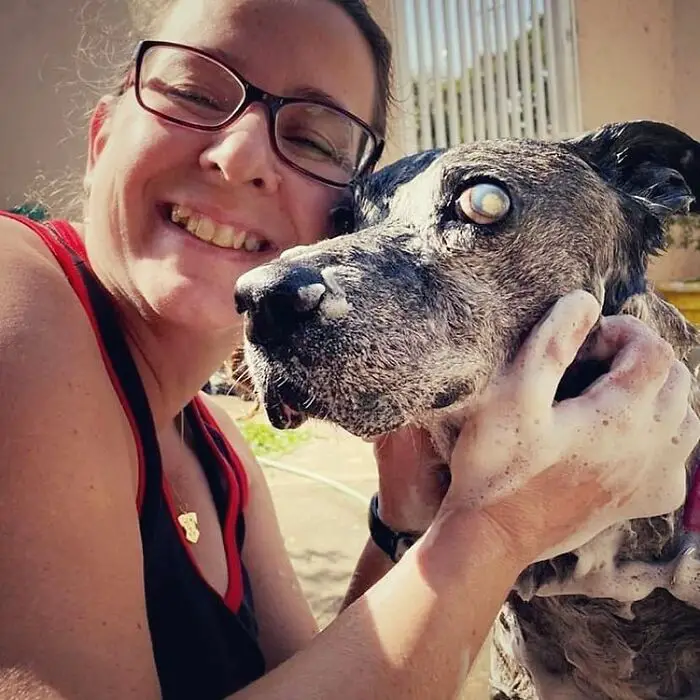 Este cachorro esperou por 10 anos em um abrigo até ser adotado e encontrar a felicidade cachorro-cego-espera-dez-anos-ate-ser-adotado