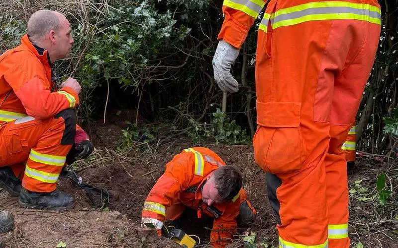 Cachorro fica 60 horas preso em um buraco até ser resgatado cachorro-fica-60-horas-preso-em-uma-toca