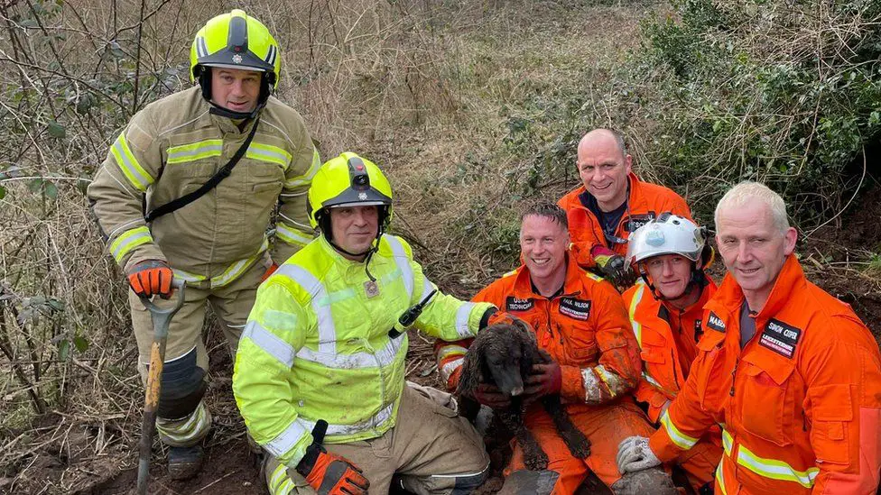 Cachorro fica 60 horas preso em um buraco até ser resgatado cachorro-fica-60-horas-preso-em-uma-toca