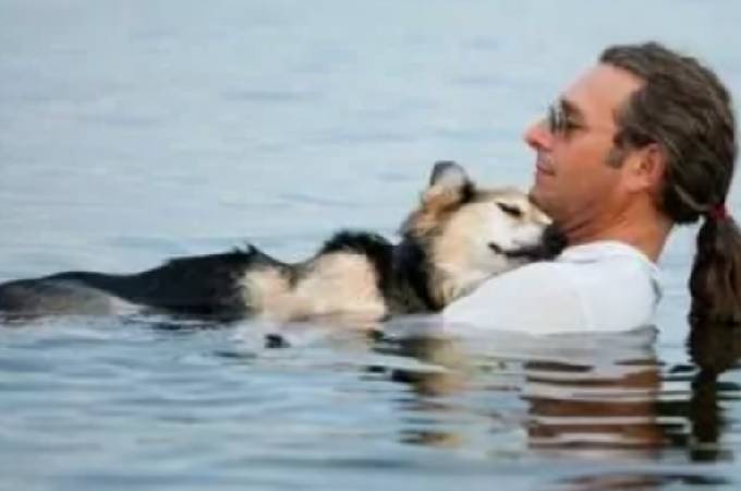 Antes de dormir para sempre, este cachorro de 20 anos fez o passeio predileto ao lado do tutor cachorro-idoso-faz-o-ultimo-passeio-com-o-tutor