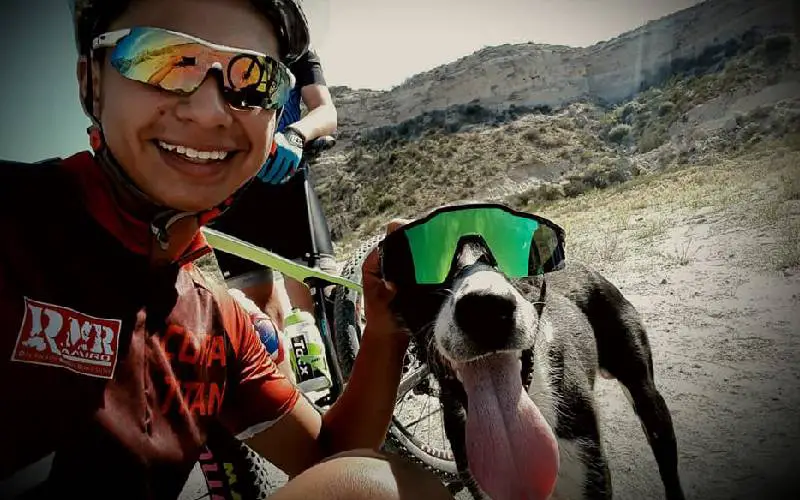 ciclistas-interrompem-treino-para-salvar-um-cachorro