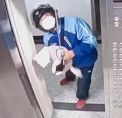 Entregador salva cachorro que ficou preso em elevador entregador-salva-cachorro-que-ficou-preso-em-elevador