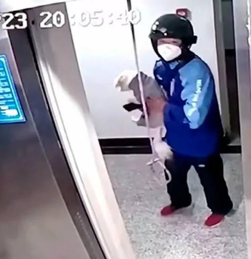 entregador-salva-cachorro-que-ficou-preso-em-elevador