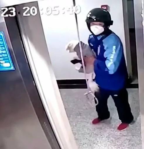 Entregador salva cachorro que ficou preso em elevador entregador-salva-cachorro-que-ficou-preso-em-elevador