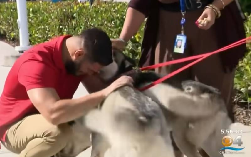 Homem se emociona ao reencontrar os seus cachorros perdidos em um abrigo para animais homem-se-emociona-ao-reencontrar-os-caes-perdidos