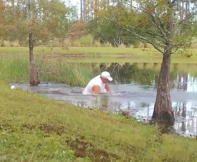 Idoso entra em lagoa para salvar cachorro de um crocodilo prestes a devorá-lo idoso-entra-em-lagoa-para-salvar-cachorro-de-um-crocodilo