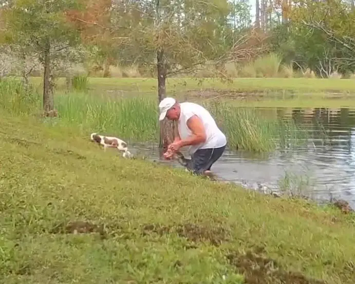 Idoso entra em lagoa para salvar cachorro de um crocodilo prestes a devorá-lo idoso-entra-em-lagoa-para-salvar-cachorro-de-um-crocodilo