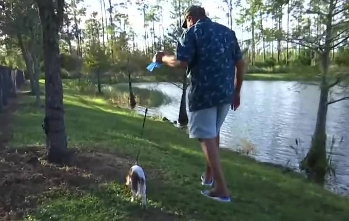 Idoso entra em lagoa para salvar cachorro de um crocodilo prestes a devorá-lo idoso-entra-em-lagoa-para-salvar-cachorro-de-um-crocodilo