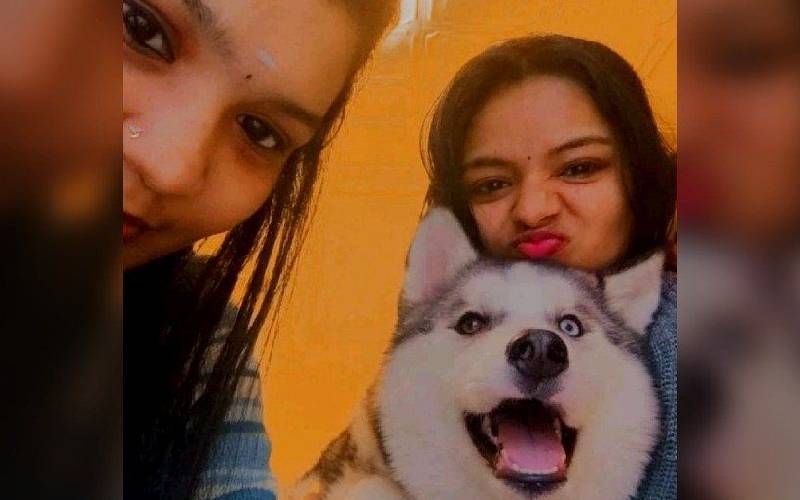 Jovem indiana se recusa a deixar a cachorra na zona de guerra jovem-indiana-se-recusa-a-deixar-a-cachorra-na-zona-de-guerra