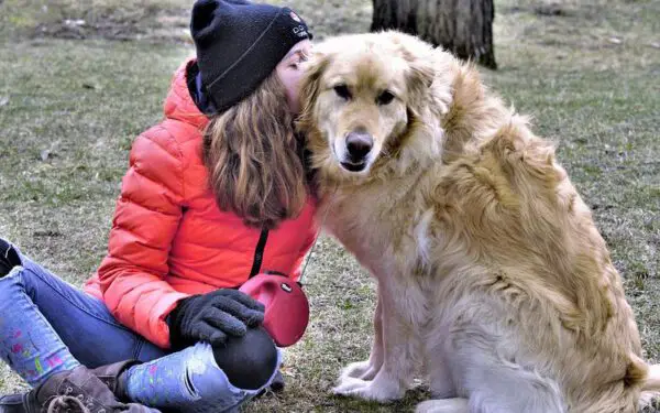 10 maneiras dos cães de demonstrar amor