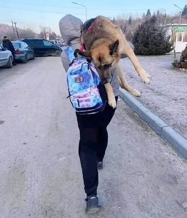 Mulher foge da guerra carregando cachorro idoso nas costas por 15 km mulher-foge-da-guerra-carregando-cachorro-idoso-nas-costas