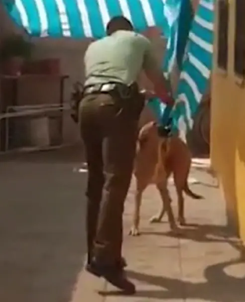 policial-ajuda-cachorro-e-ganha-um-abraco-de-recompensa