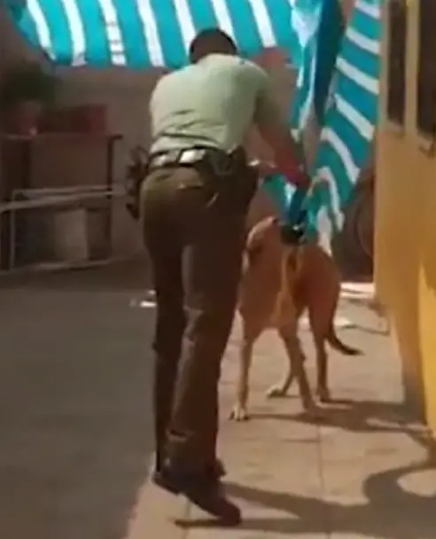 Emocionante: Policial ajuda cachorro e ganha um abraço de recompensa; assista policial-ajuda-cachorro-e-ganha-um-abraco-de-recompensa