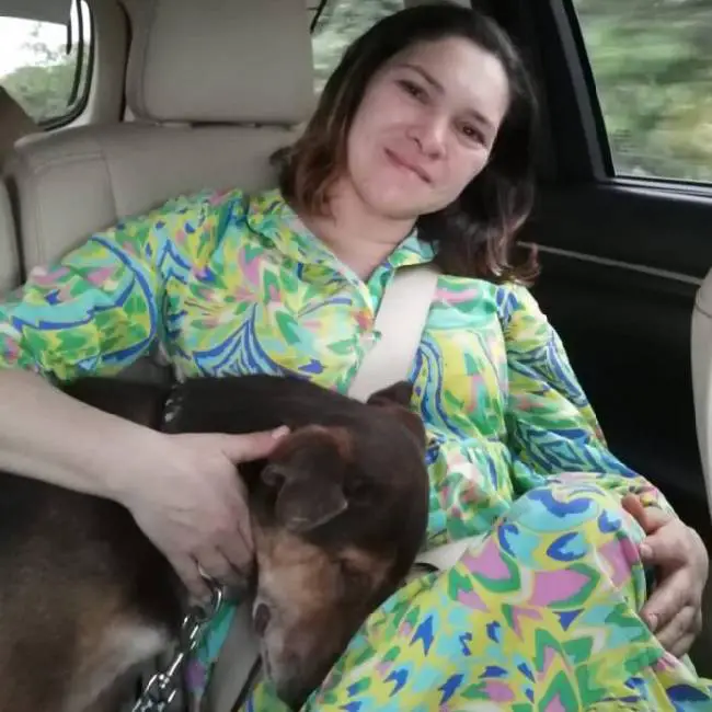 Família abandona cachorro doente depois da morte da tutora cachorro-e-abandonado-depois-da-morte-da-tutora
