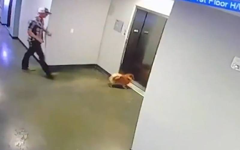 Vídeo flagra cachorro sendo salvo em acidente no elevador que poderia ser fatal cachorro-e-salvo-em-acidente-no-elevador