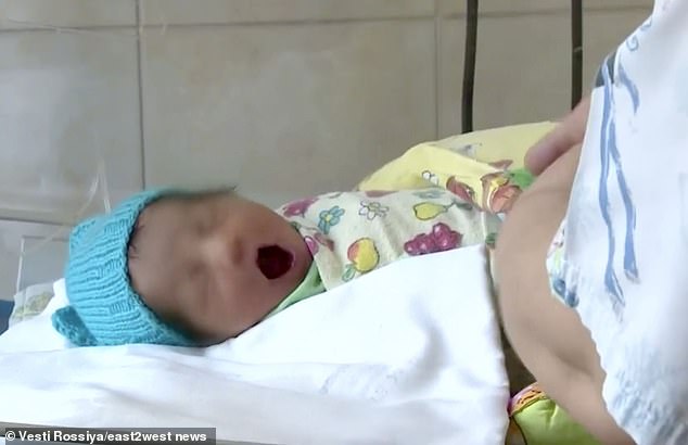 Cachorro encontra e salva menina recém-nascida abandonada em um matagal cachorro-encontra-e-salva-menina-recem-nascida