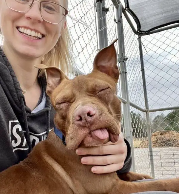 Cachorro que teve os dentes arrancados ganha segunda chance cachorro-que-teve-os-dentes-arrancados-ganha-segunda-chance