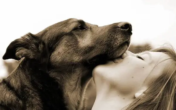 Os cachorros nos amam porque nós damos comida para eles? Os cachorros nos amam porque nós damos comida para eles?
